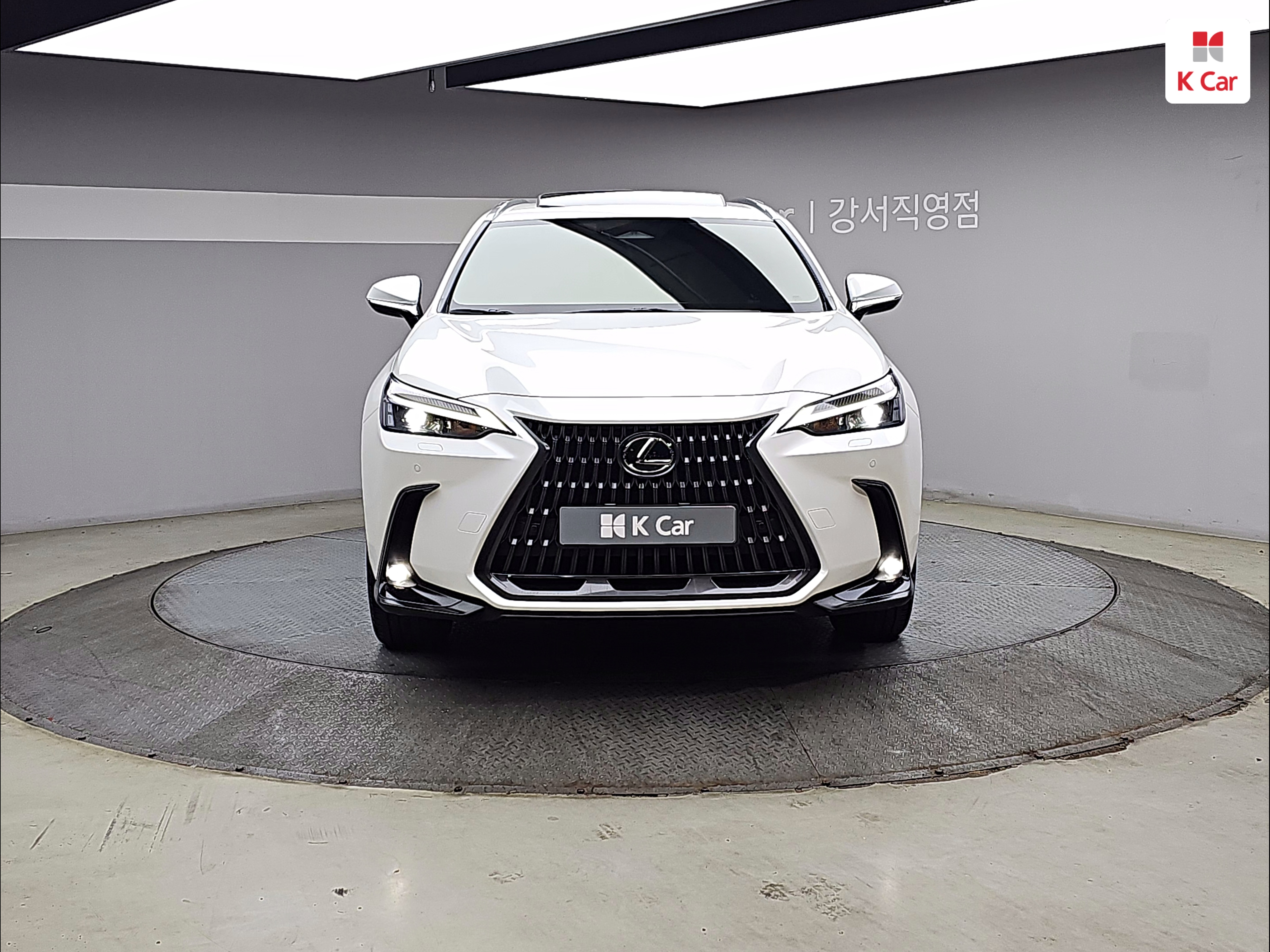 LEXUS NX 350h