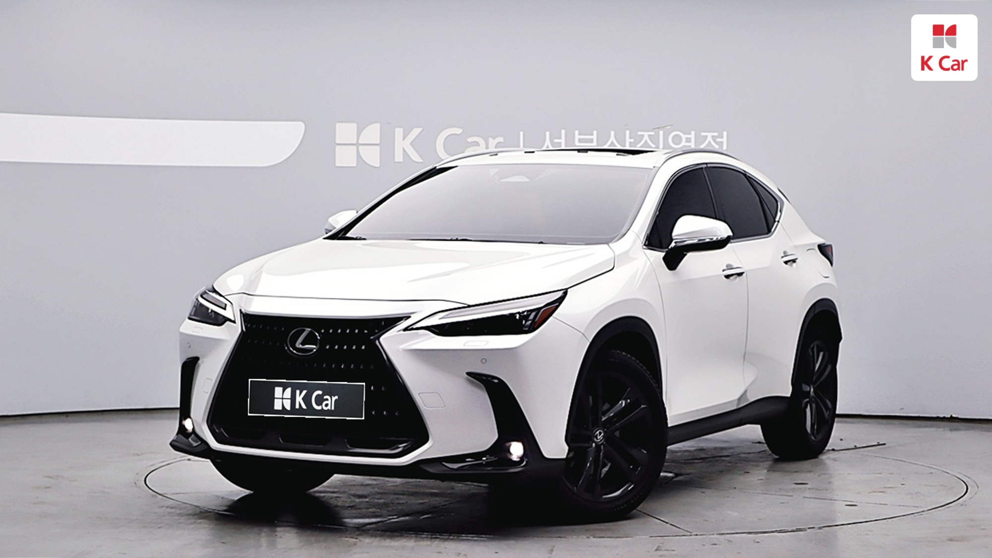 렉서스 NX350h 프리미엄