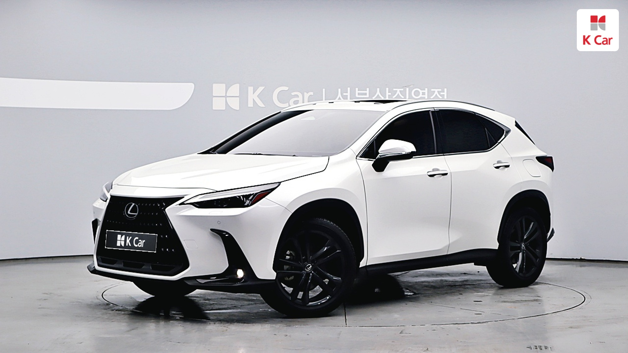 렉서스 NX350h 프리미엄