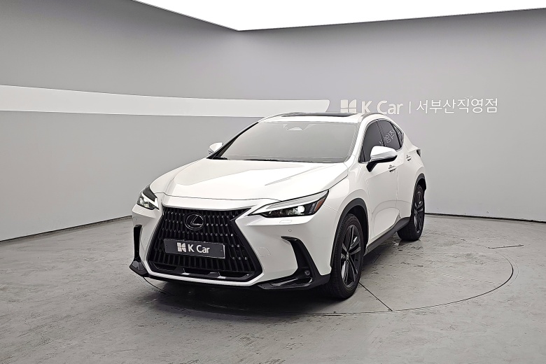렉서스 NX - фото 1