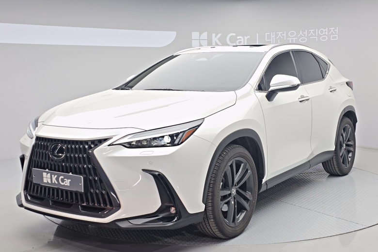 렉서스 NX - фото 1