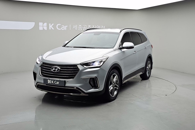 Hyundai Max Cruise