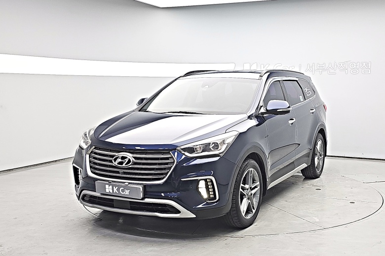 Hyundai Max Cruise