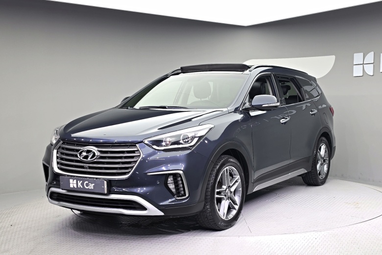 Hyundai Max Cruise