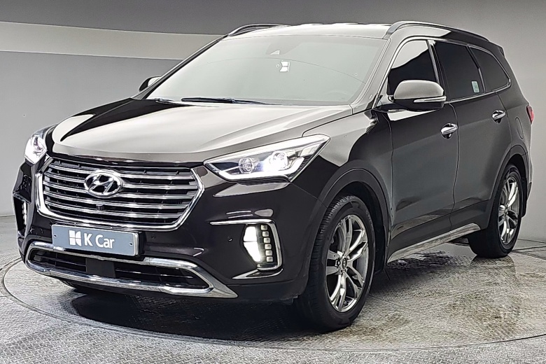 Hyundai Max Cruise
