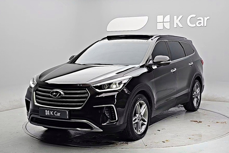 Hyundai Max Cruise