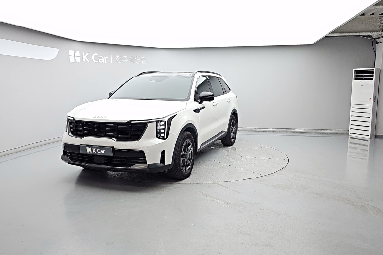 Kia Sorento бензин Turbo 1.6 2WD Gravity, миниатюра 26