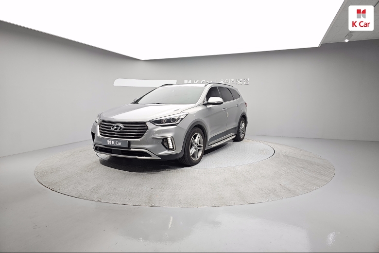 Hyundai Max Cruise