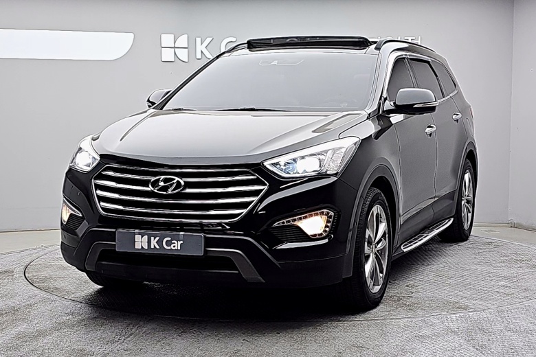 Hyundai Max Cruise