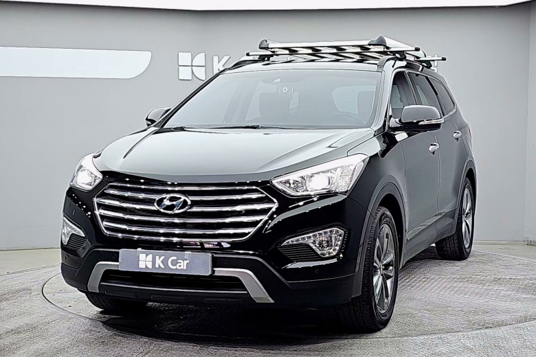 Hyundai Max Cruise