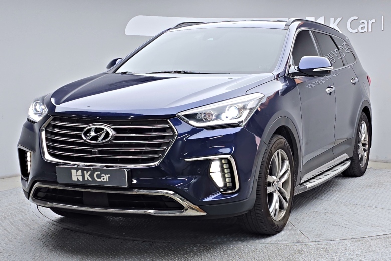 Hyundai Max Cruise