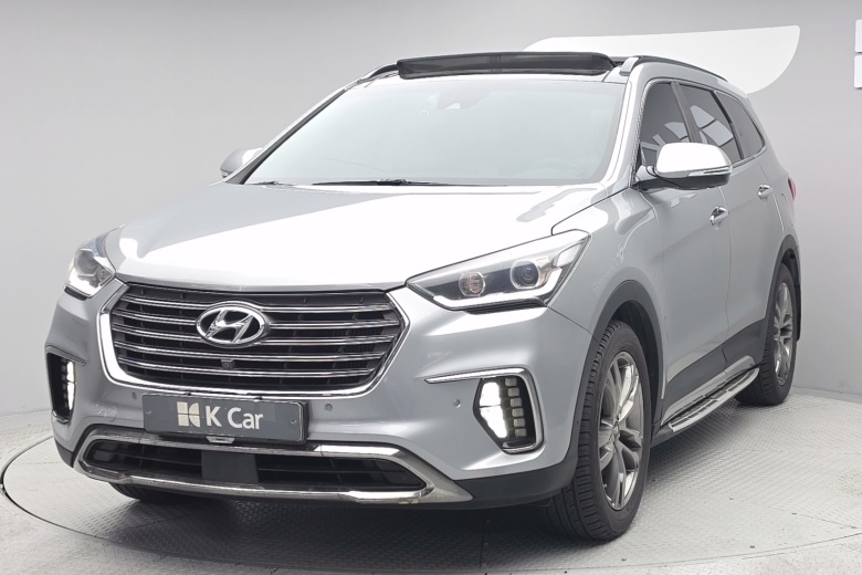 Hyundai Max Cruise
