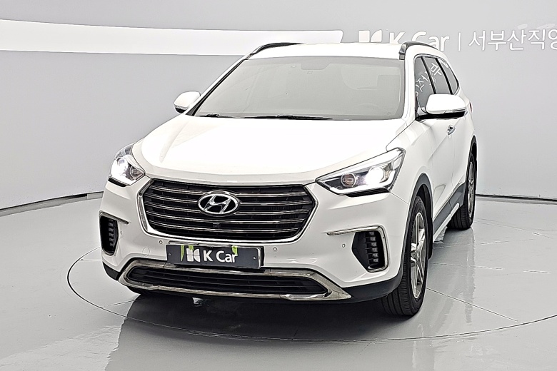 Hyundai Max Cruise