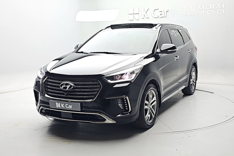 Hyundai Max Cruise