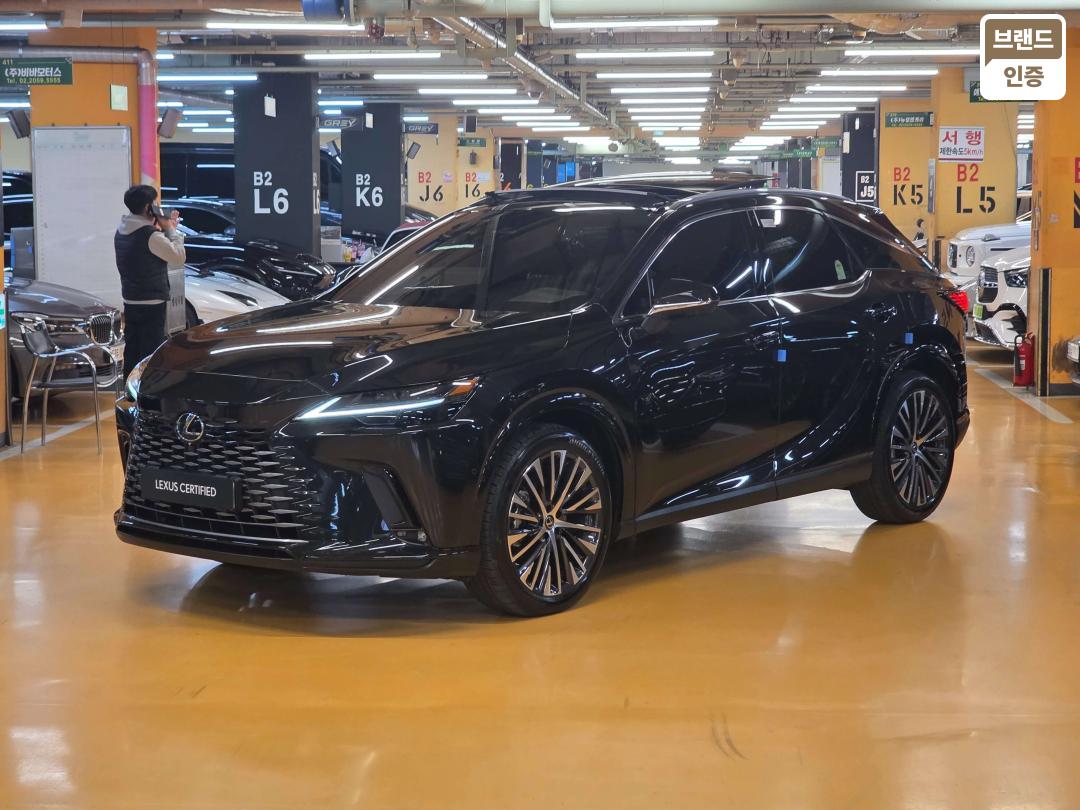 Lexus RX Plug-in Hybrid 450h+ Luxury 2