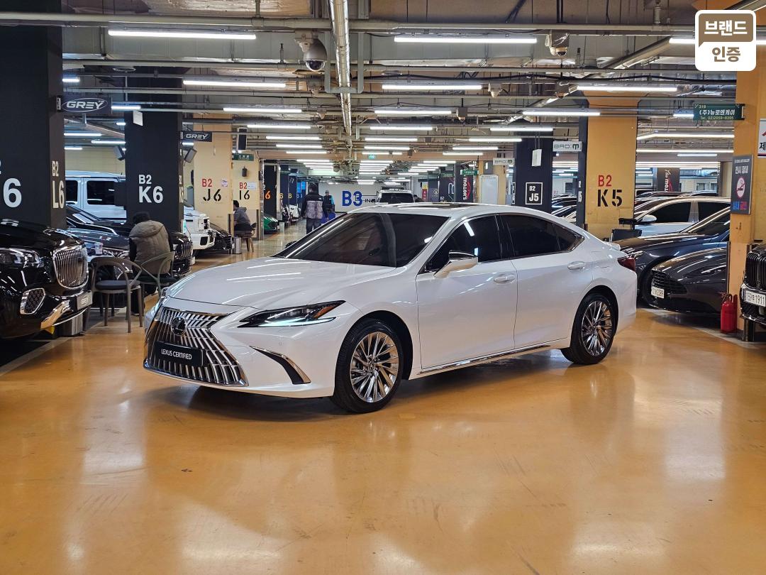 Lexus ES ES300h Executive