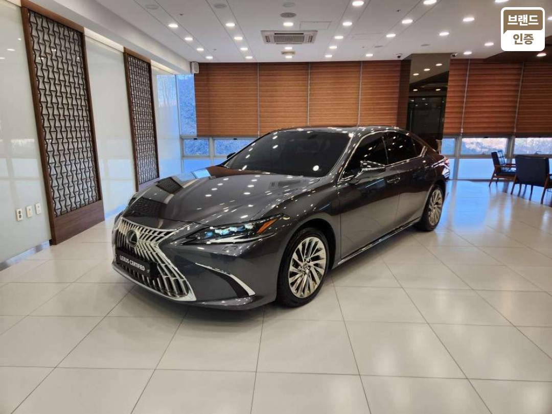 Lexus ES ES300h Executive