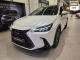 Lexus Nx350H 2024 photo 3