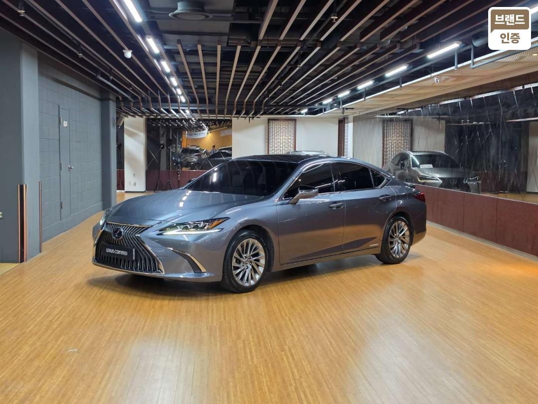 Lexus ES ES300h Executive