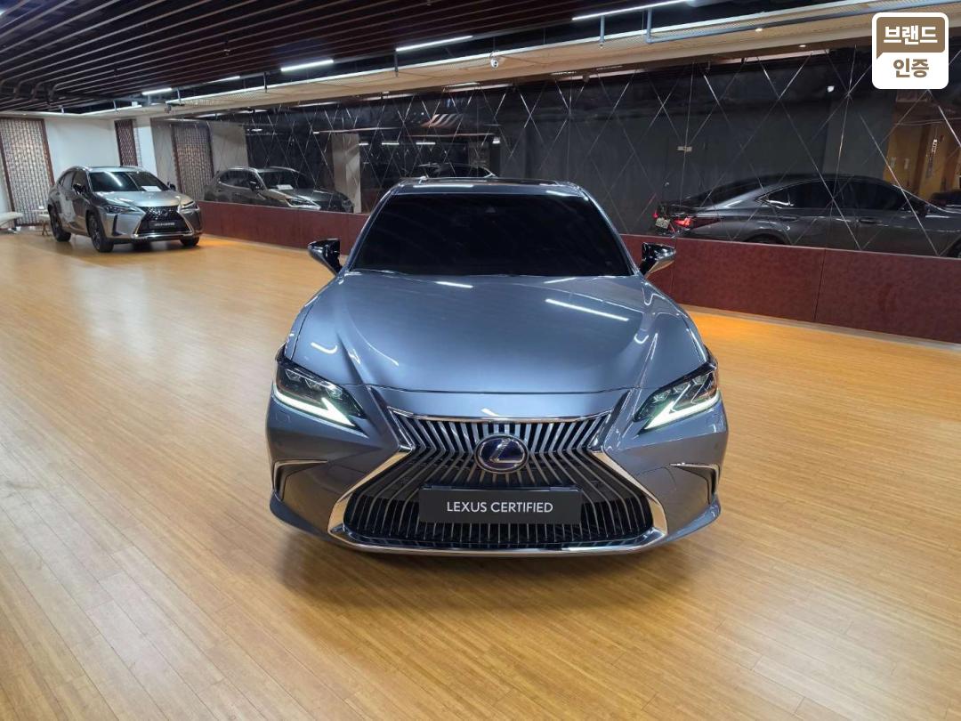 Lexus ES ES300h Executive 4