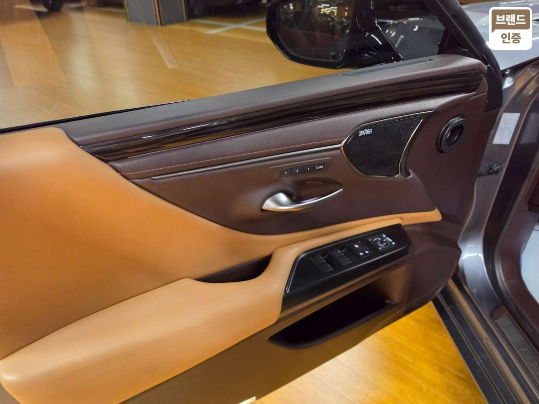 Lexus ES ES300h Executive 6