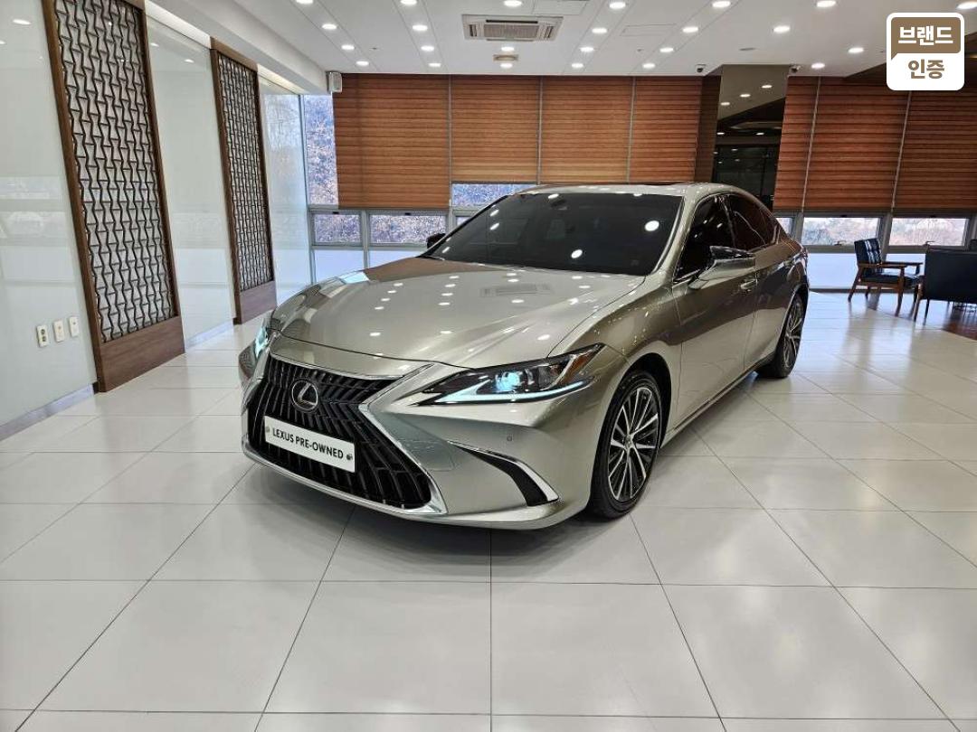 Lexus ES ES300h Luxury