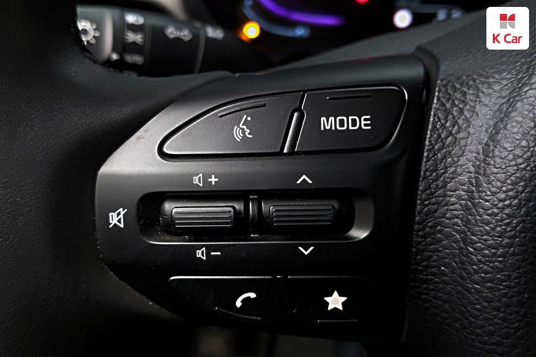 Kia Ray Van 2 Seater Prestige Special - фото 24