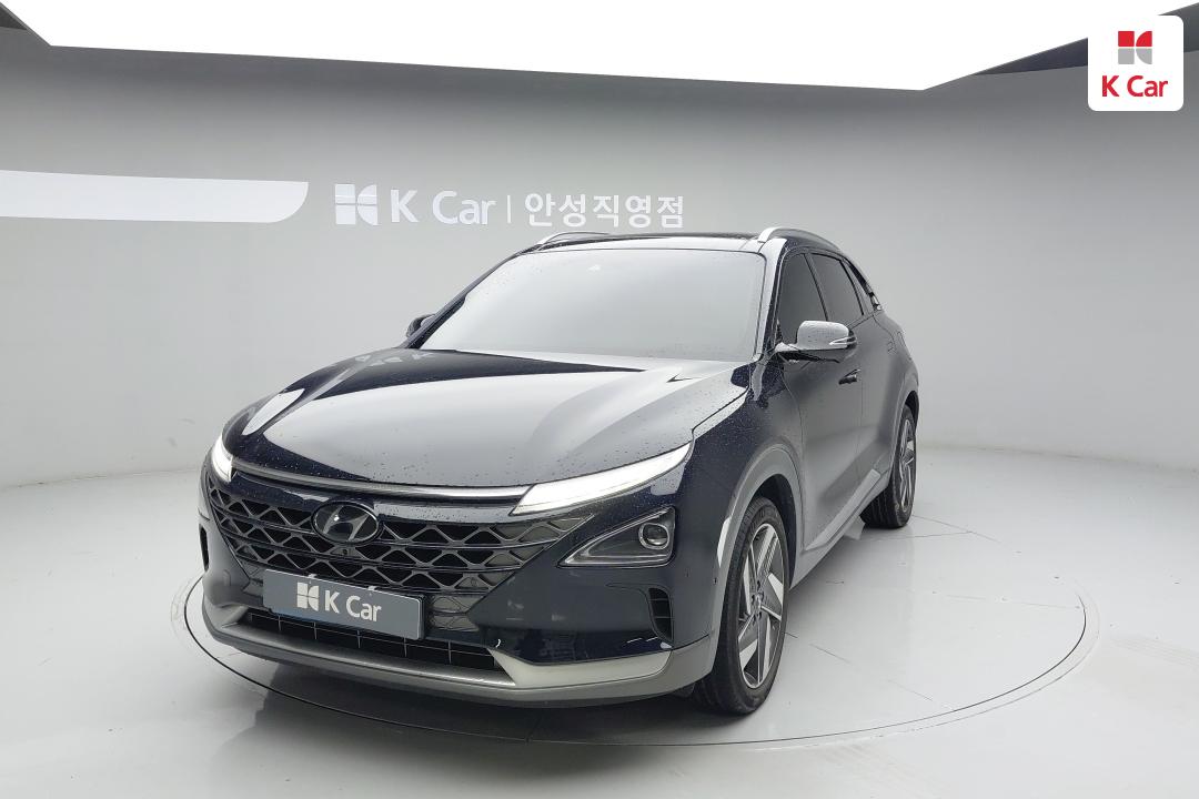 현대 넥쏘 프리미엄 현대 넥쏘 프리미엄