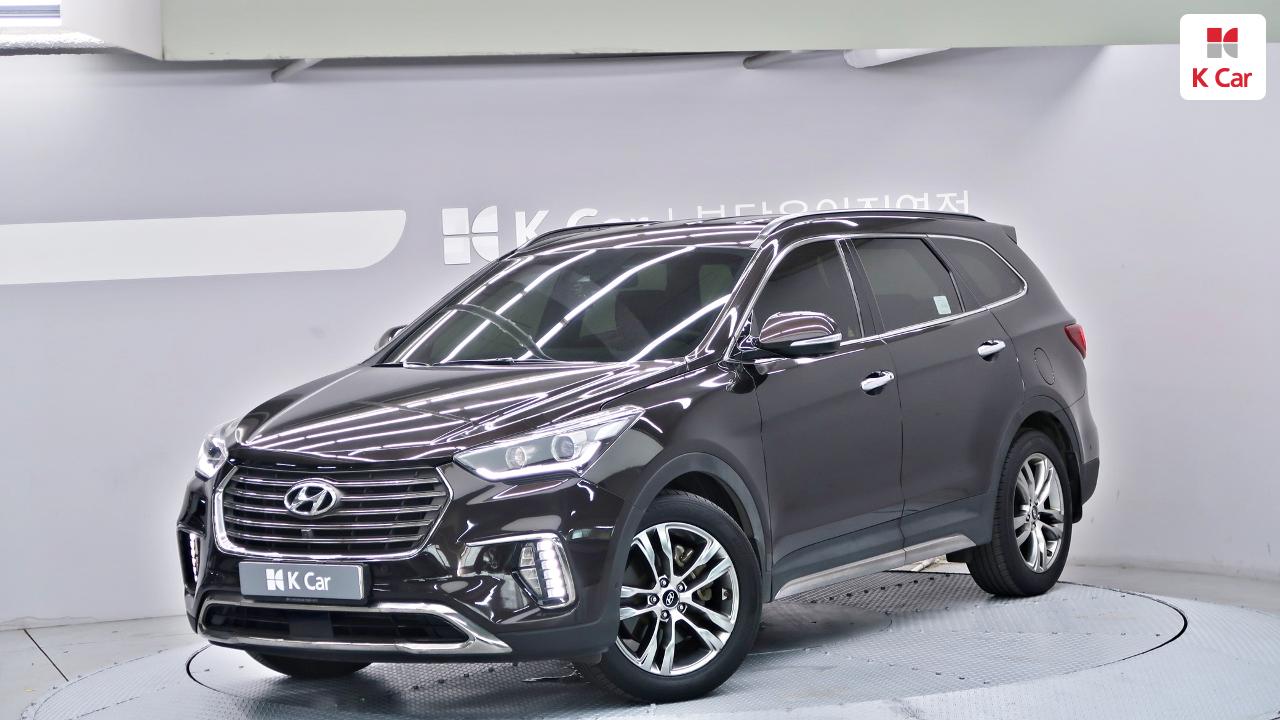 Hyundai Max Cruise